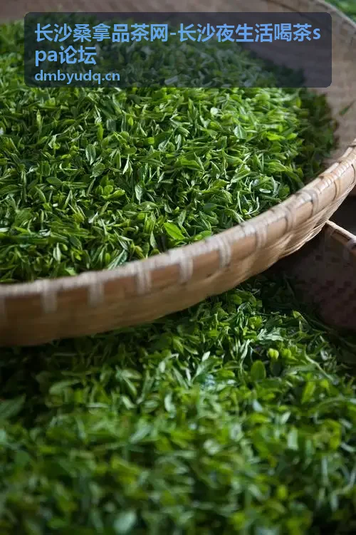 长沙品茶论坛热门推荐茶馆